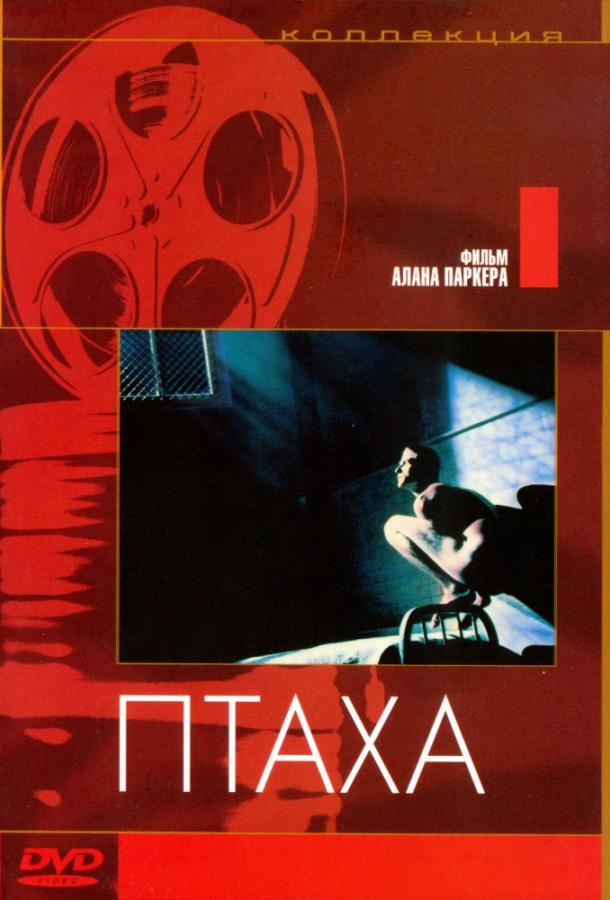 Птаха 1984 Смотреть Онлайн Бесплатно в Хорошем Качестве